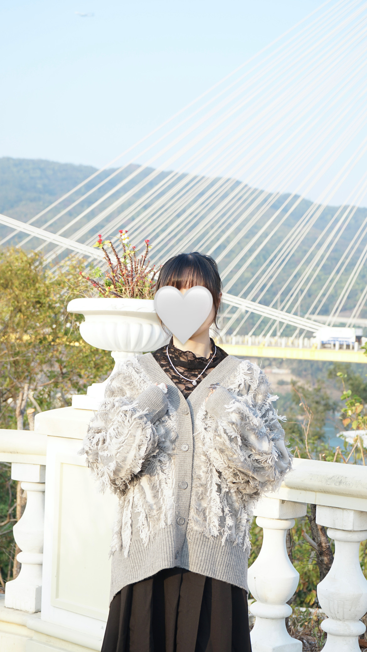 9E4D4C0E-1FE0-42FE-8D7F-ABD8B2E99AB1 百搭lace花紋透透top